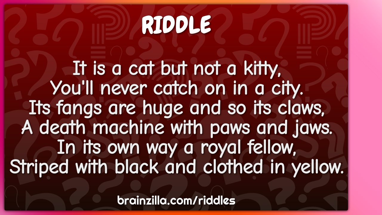It is a cat but not a kitty,  You'll never catch on in a city.  Its...