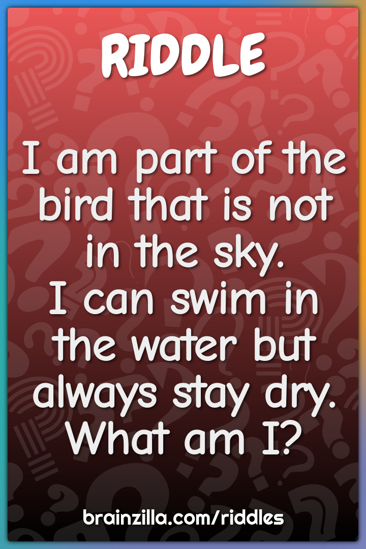 I am part of the bird that is not in the sky.  I can swim in the water...