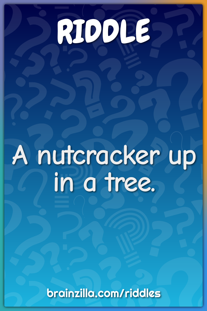 A nutcracker up in a tree.