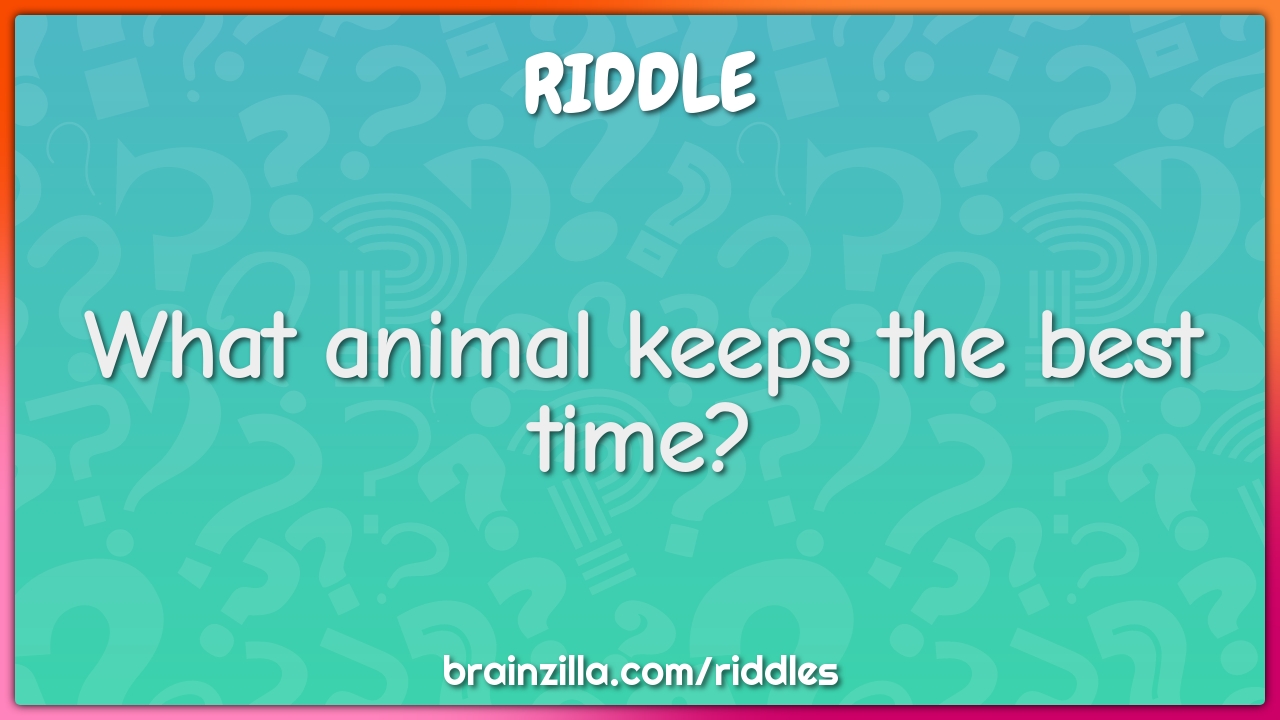 What animal keeps the best time?