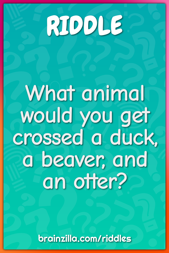 What animal would you get crossed a duck, a beaver, and an otter?