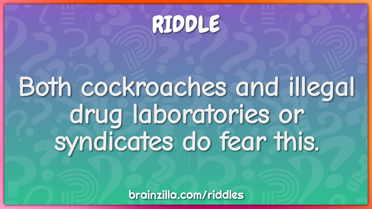 Both cockroaches and illegal drug laboratories or syndicates do fear...
