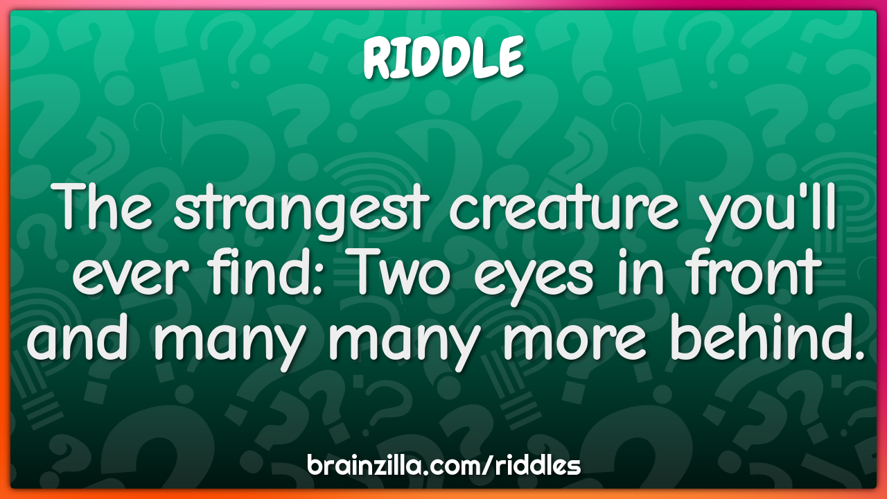 The strangest creature you'll ever find: Two eyes in front and many...