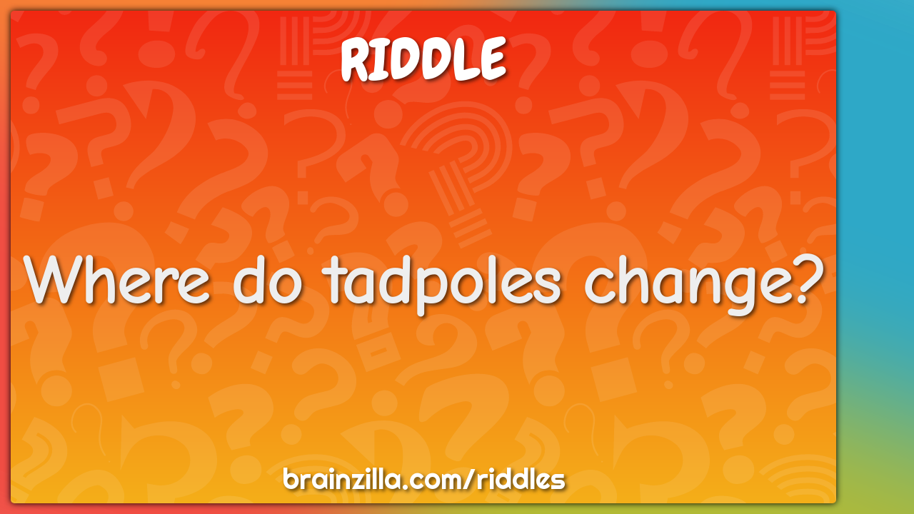 Where do tadpoles change?