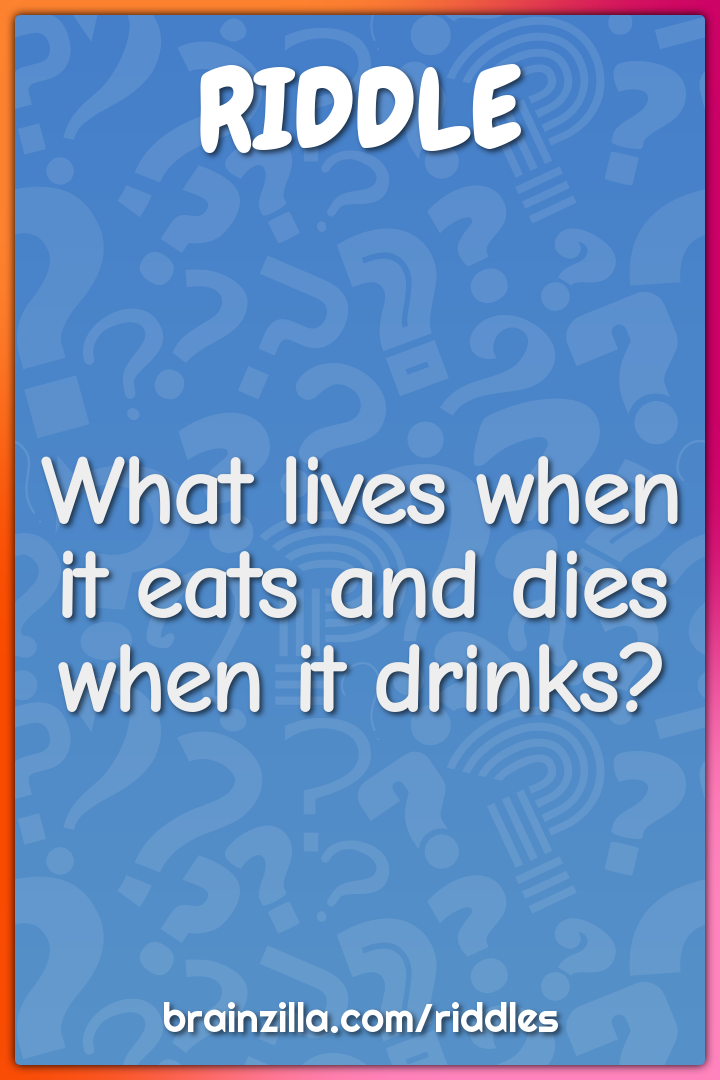 What lives when it eats and dies when it drinks?