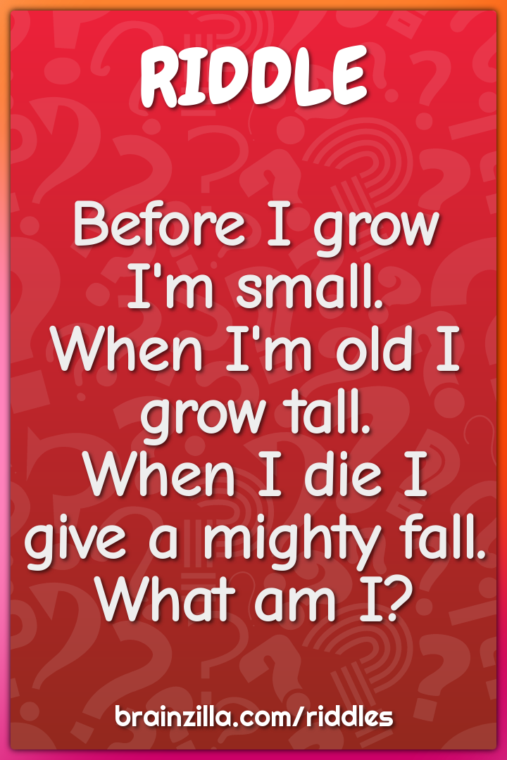 Before I grow I'm small.  When I'm old I grow tall.  When I die I give...