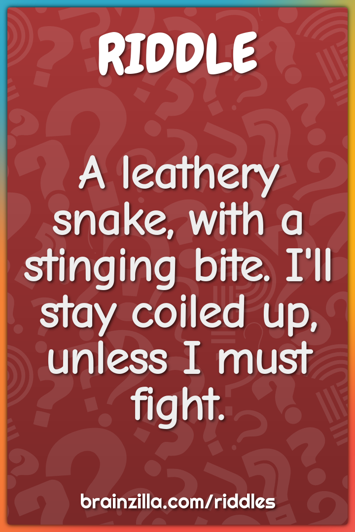 A leathery snake, with a stinging bite. I'll stay coiled up, unless I...