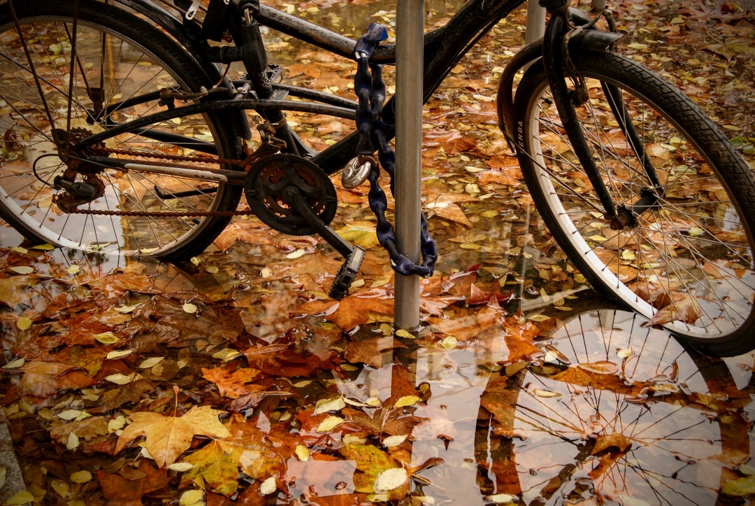Daily Jigsaw - 10/07 - 16h