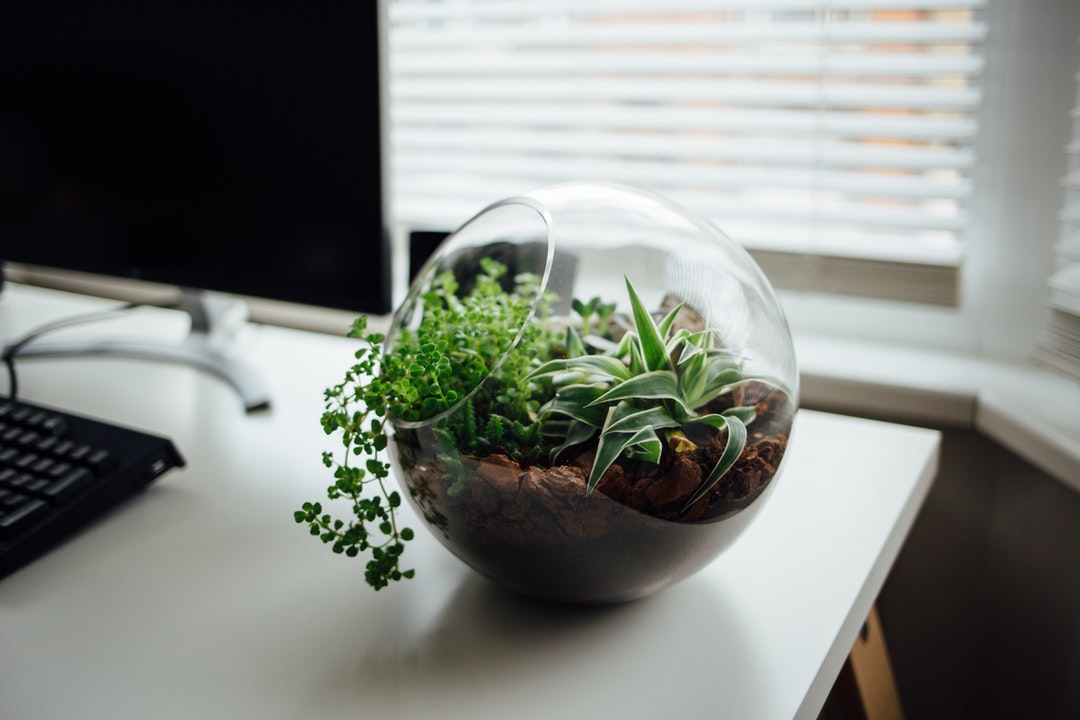 Desk Ecosystem