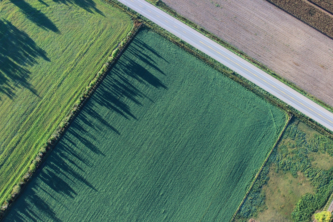 Square Greens