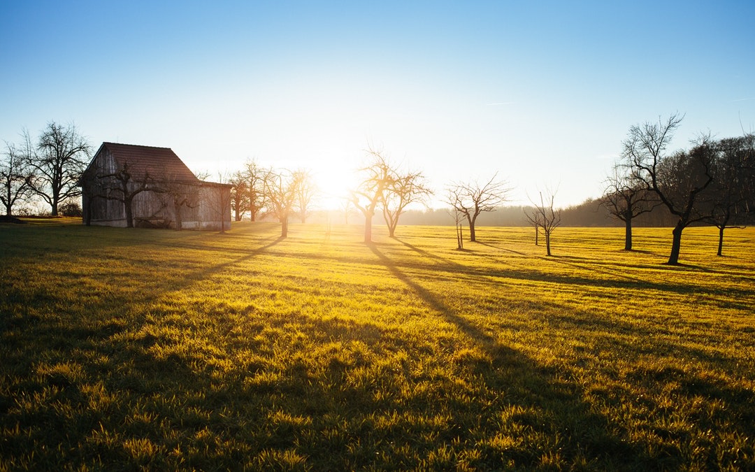 Sunrise Barn