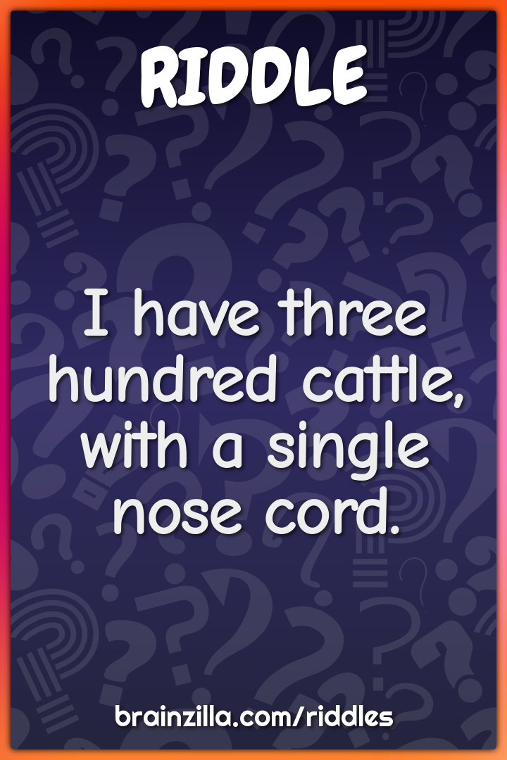 I have three hundred cattle, with a single nose cord.