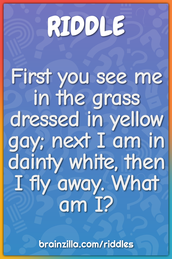 First you see me in the grass dressed in yellow gay; next I am in...