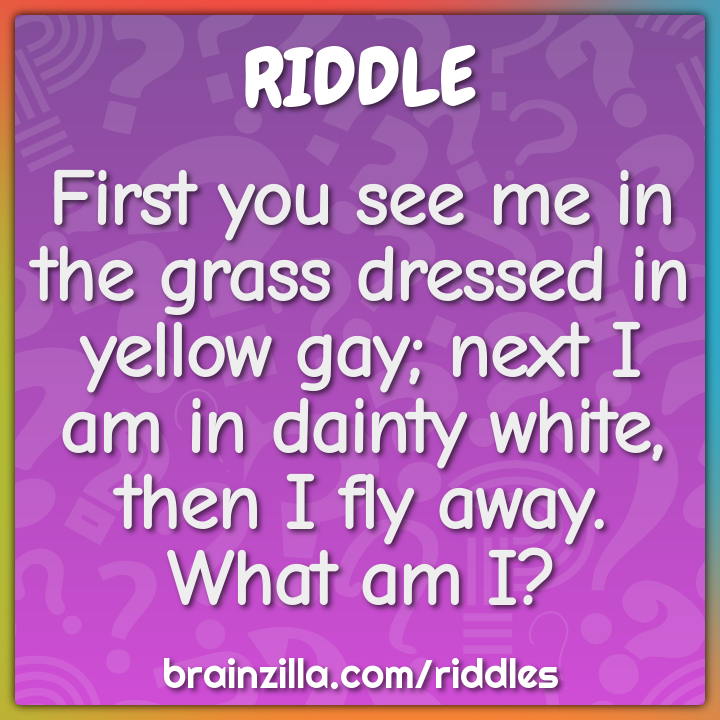First you see me in the grass dressed in yellow gay; next I am in...