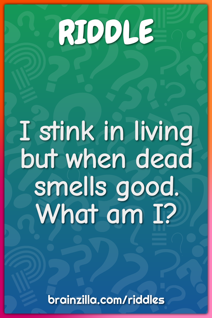 I stink in living but when dead smells good. What am I?