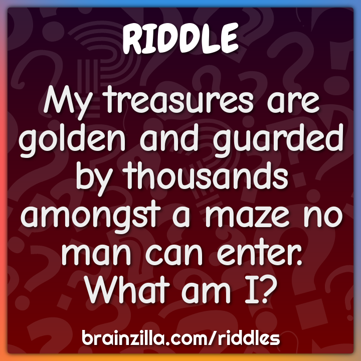 My treasures are golden and guarded by thousands amongst a maze no man...