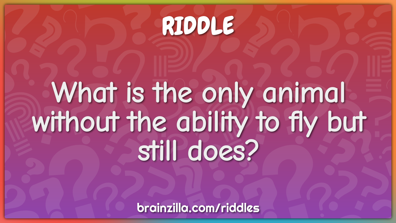What is the only animal without the ability to fly but still does?