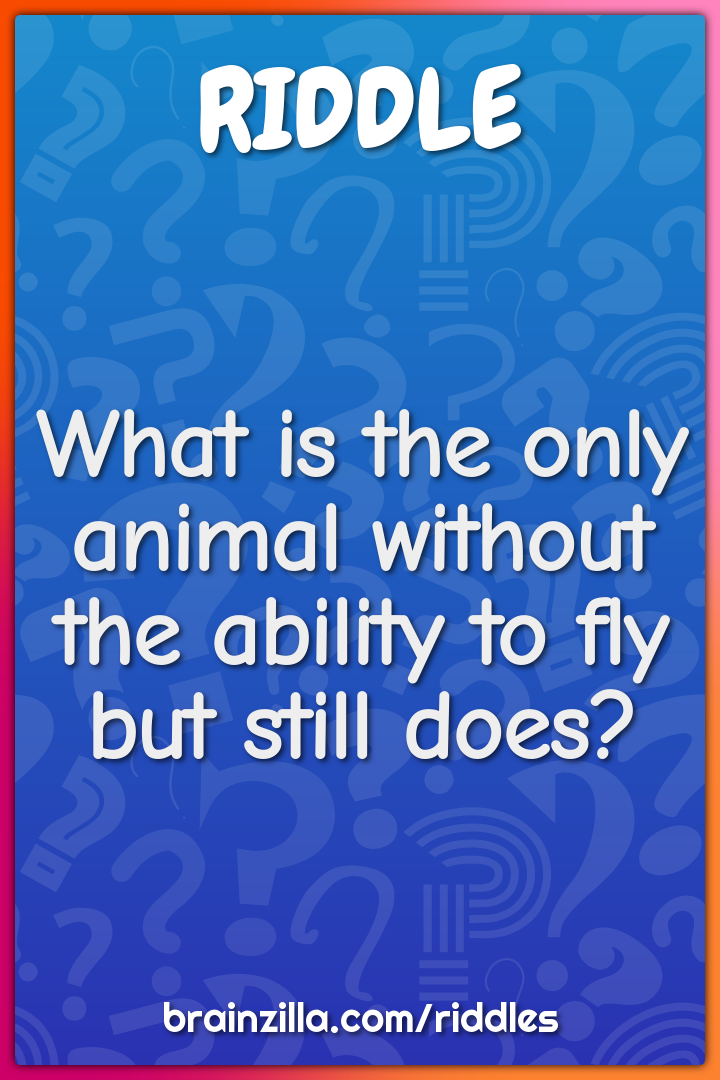 What is the only animal without the ability to fly but still does?