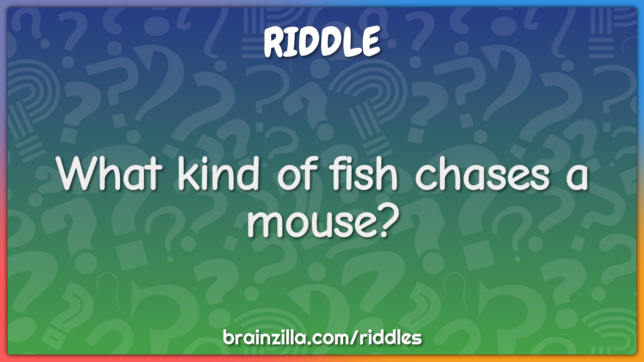 What kind of fish chases a mouse?