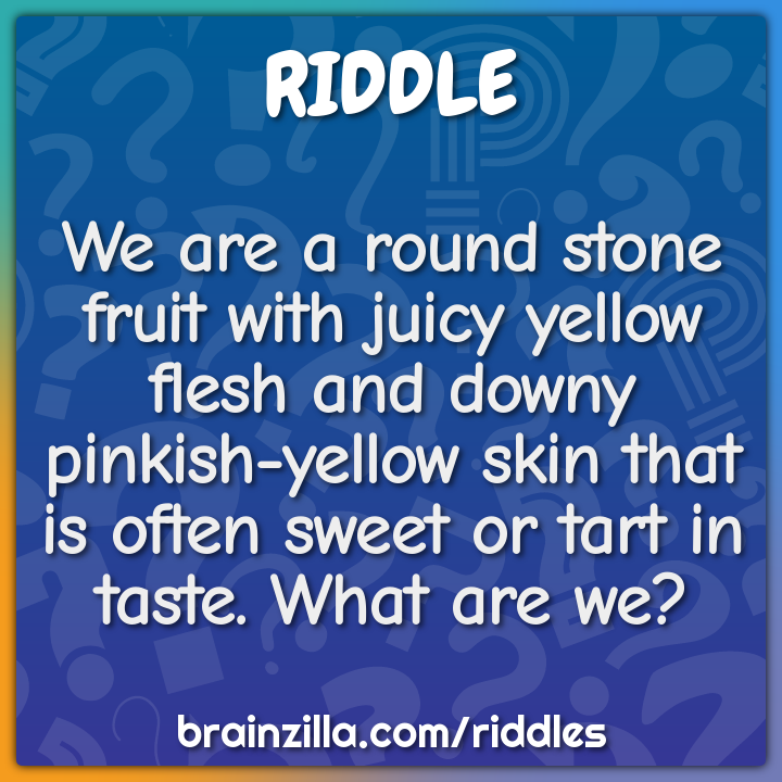 We are a round stone fruit with juicy yellow flesh and downy pinkish-...
