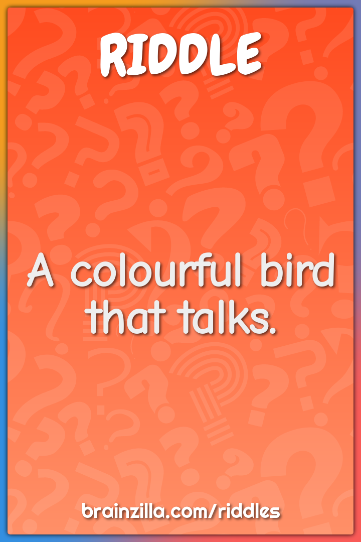 A colourful bird that talks.