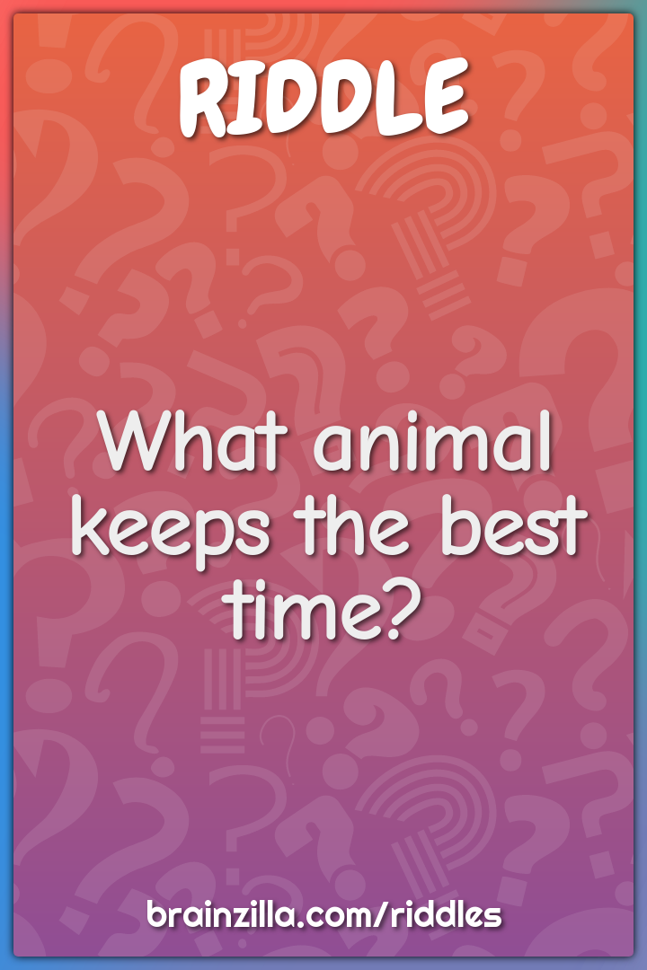 What animal keeps the best time?