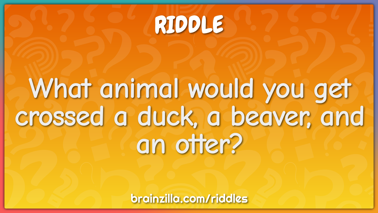 What animal would you get crossed a duck, a beaver, and an otter?