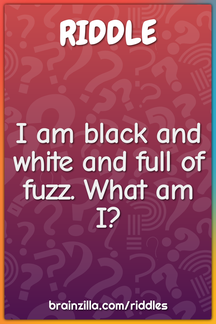 I am black and white and full of fuzz. What am I?