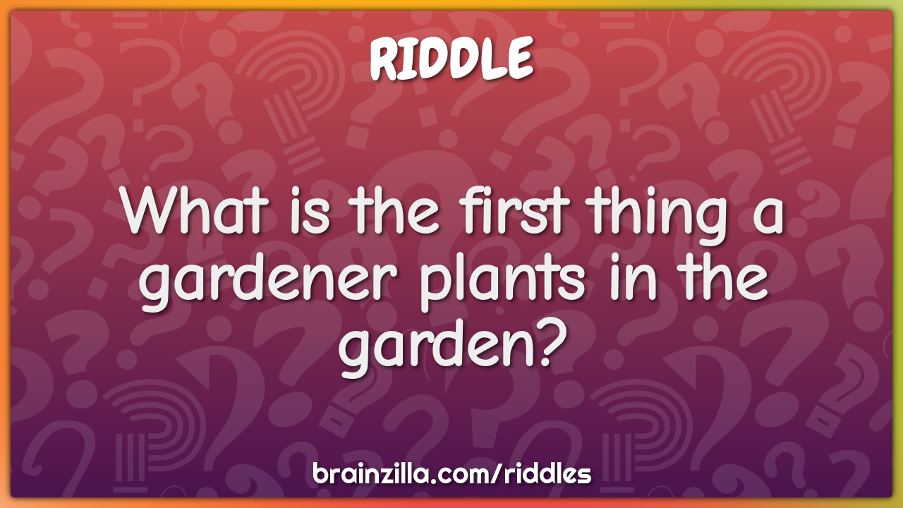 What is the first thing a gardener plants in the garden?