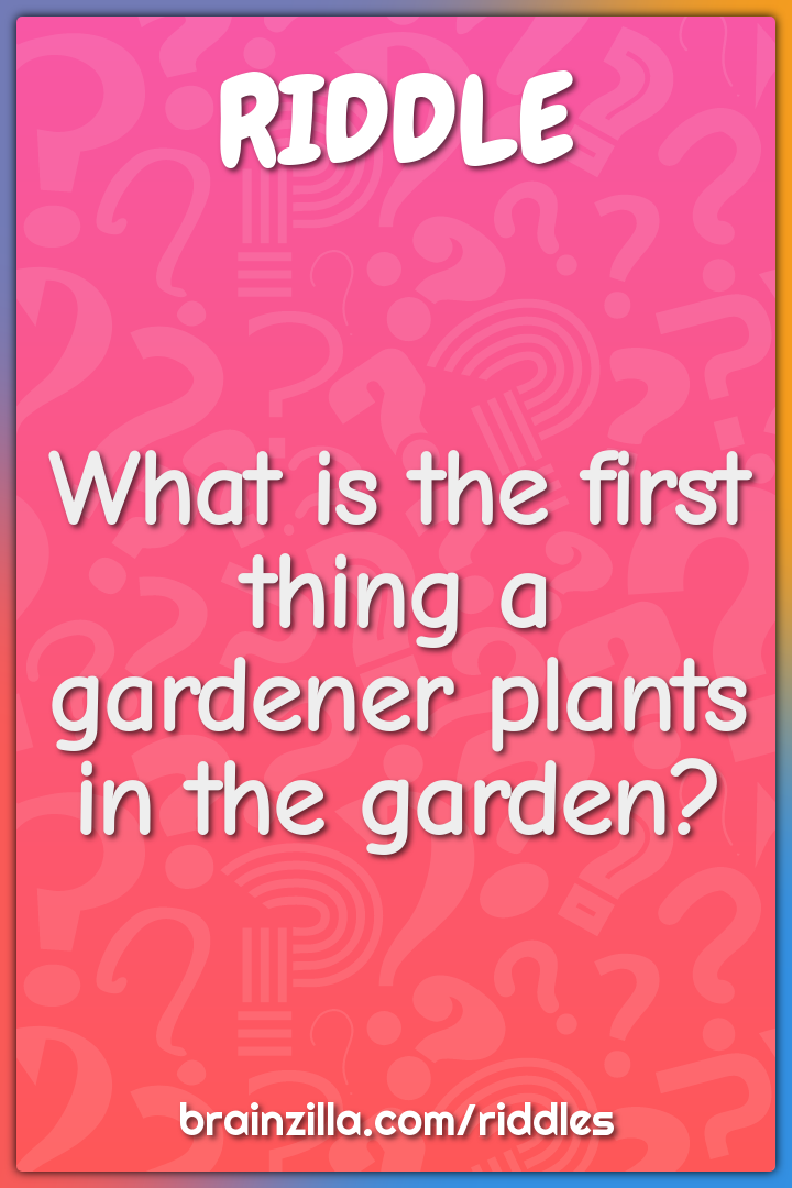 What is the first thing a gardener plants in the garden?