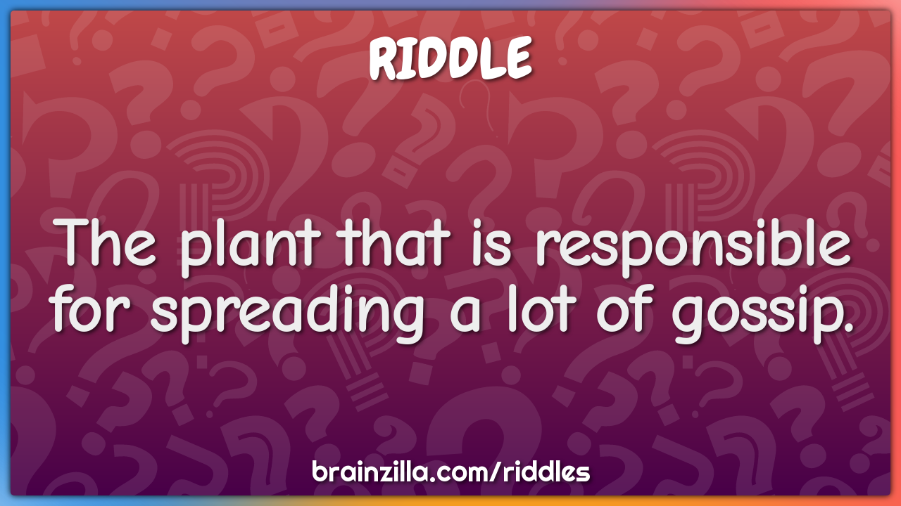 The plant that is responsible for spreading a lot of gossip.