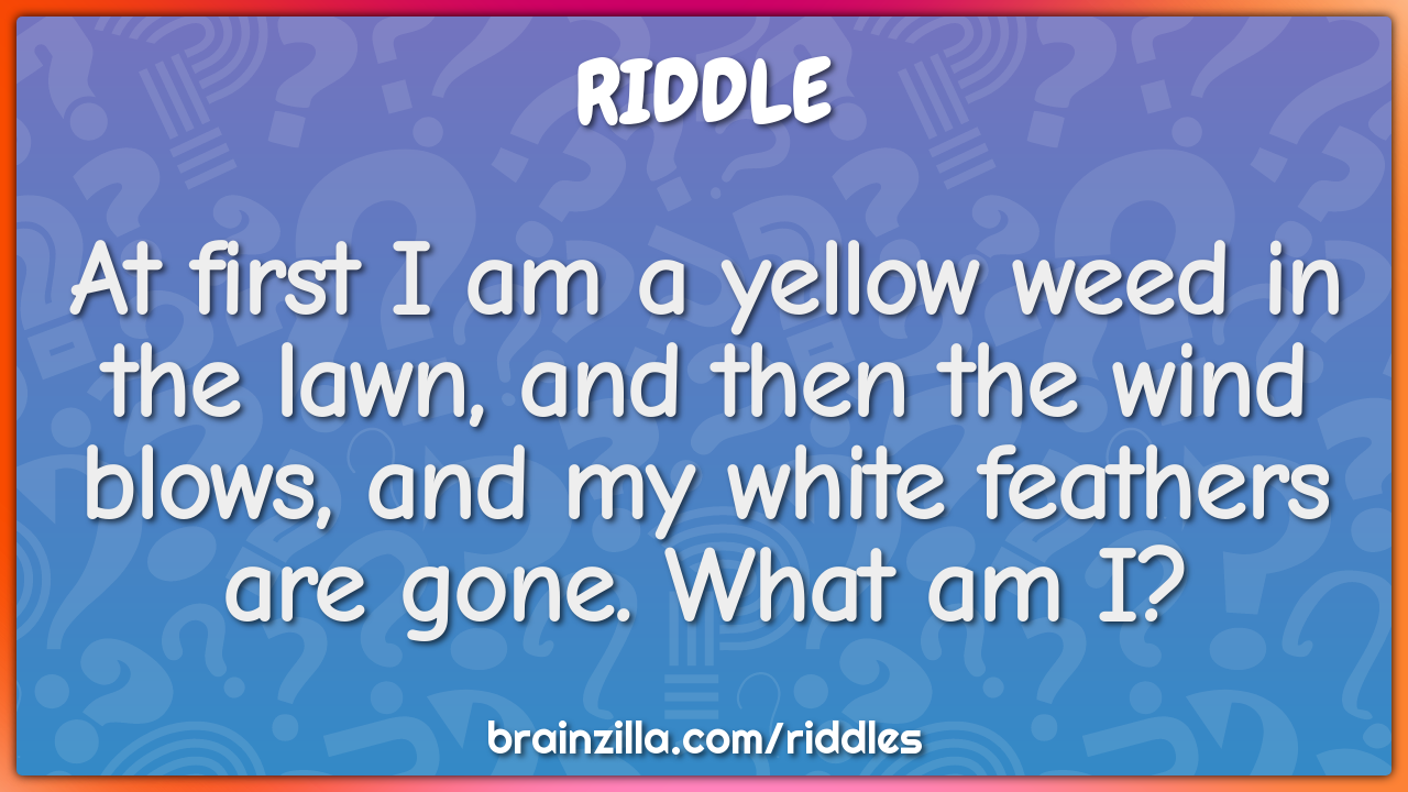 At first I am a yellow weed in the lawn, and then the wind blows, and...