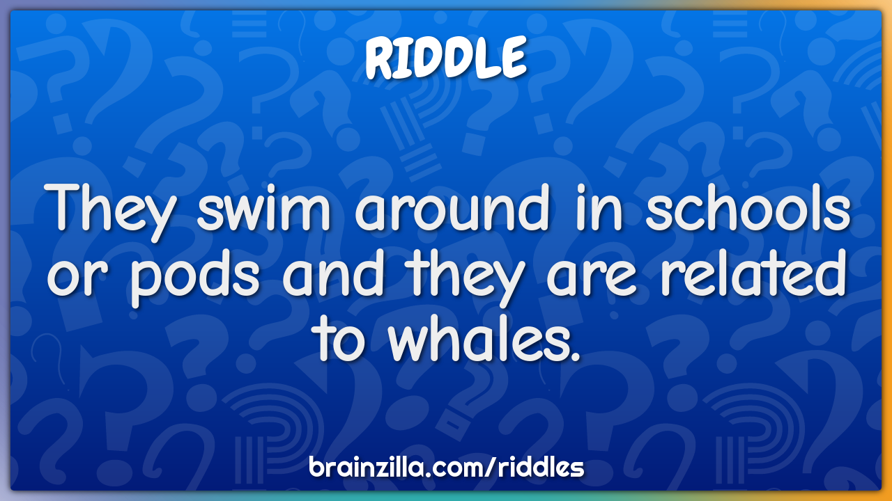 They swim around in schools or pods and they are related to whales.