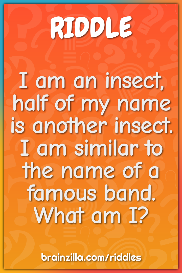 I am an insect, half of my name is another insect. I am similar to the...