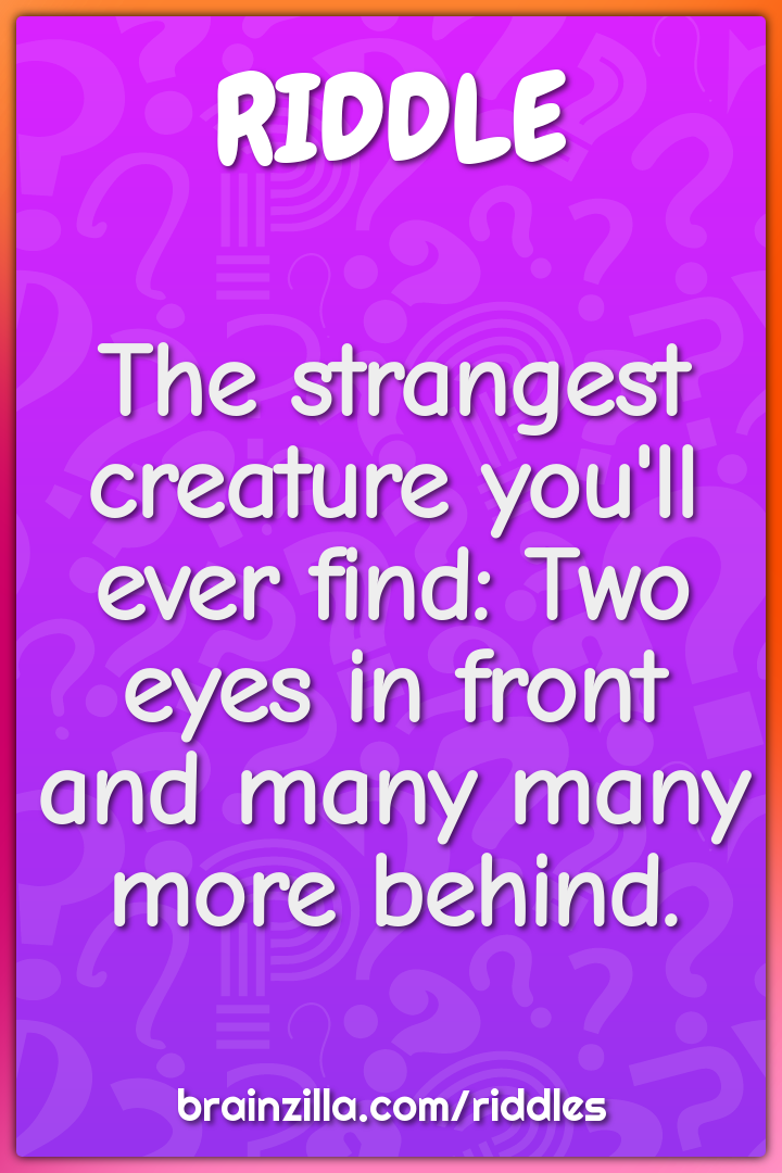 The strangest creature you'll ever find: Two eyes in front and many...
