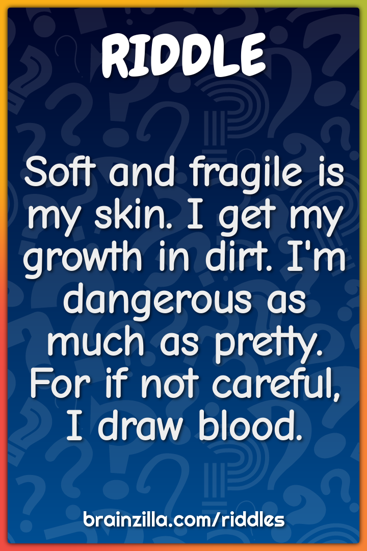 Soft and fragile is my skin. I get my growth in dirt. I'm dangerous as...