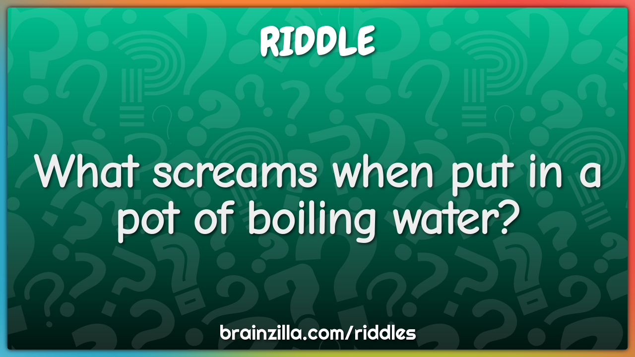 What screams when put in a pot of boiling water?