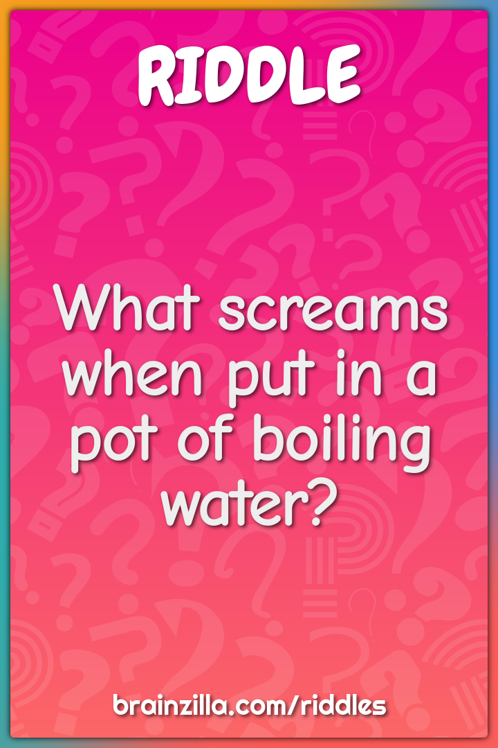 What screams when put in a pot of boiling water?