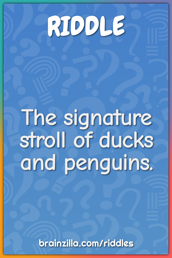 The signature stroll of ducks and penguins.