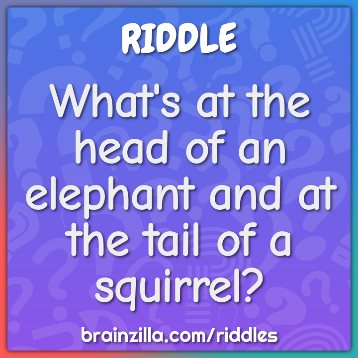 What's at the head of an elephant and at the tail of a squirrel?