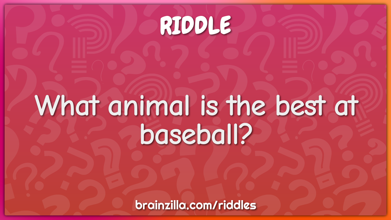 What animal is the best at baseball? - Riddle & Answer - Brainzilla