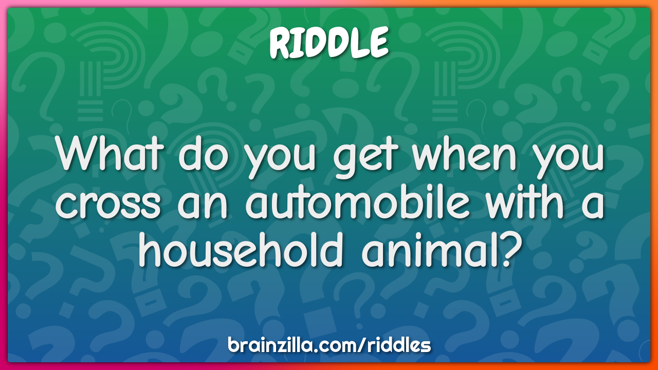 What do you get when you cross an automobile with a household animal?