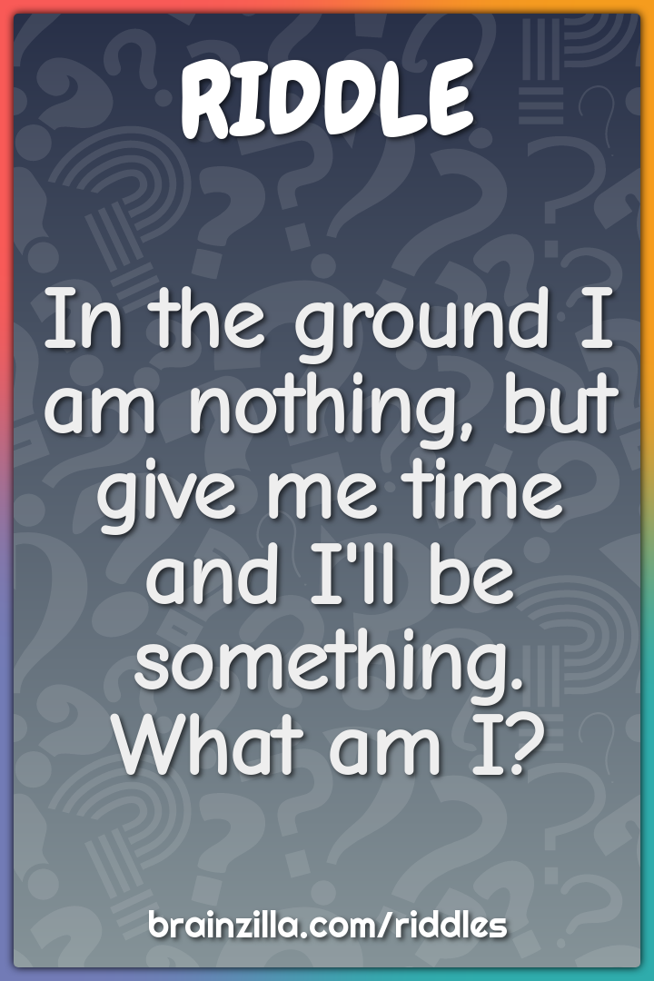 In the ground I am nothing, but give me time and I'll be something....