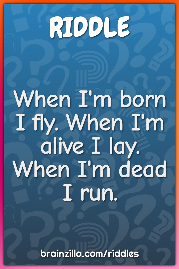 When I'm born I fly. When I'm alive I lay. When I'm dead I run.