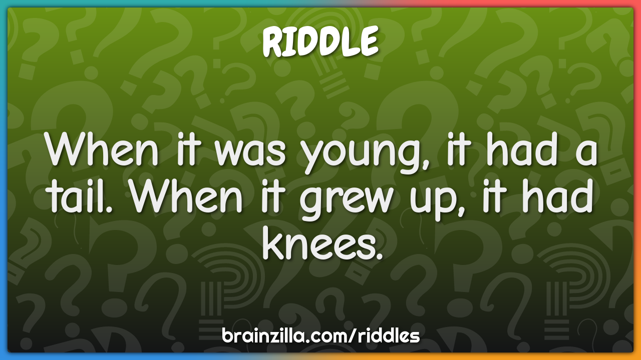 When it was young, it had a tail. When it grew up, it had knees.