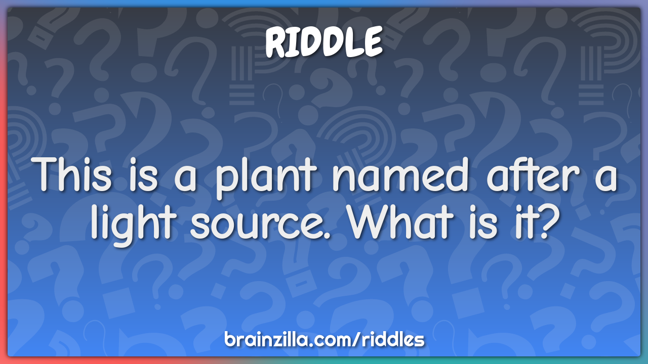 This is a plant named after a light source. What is it?
