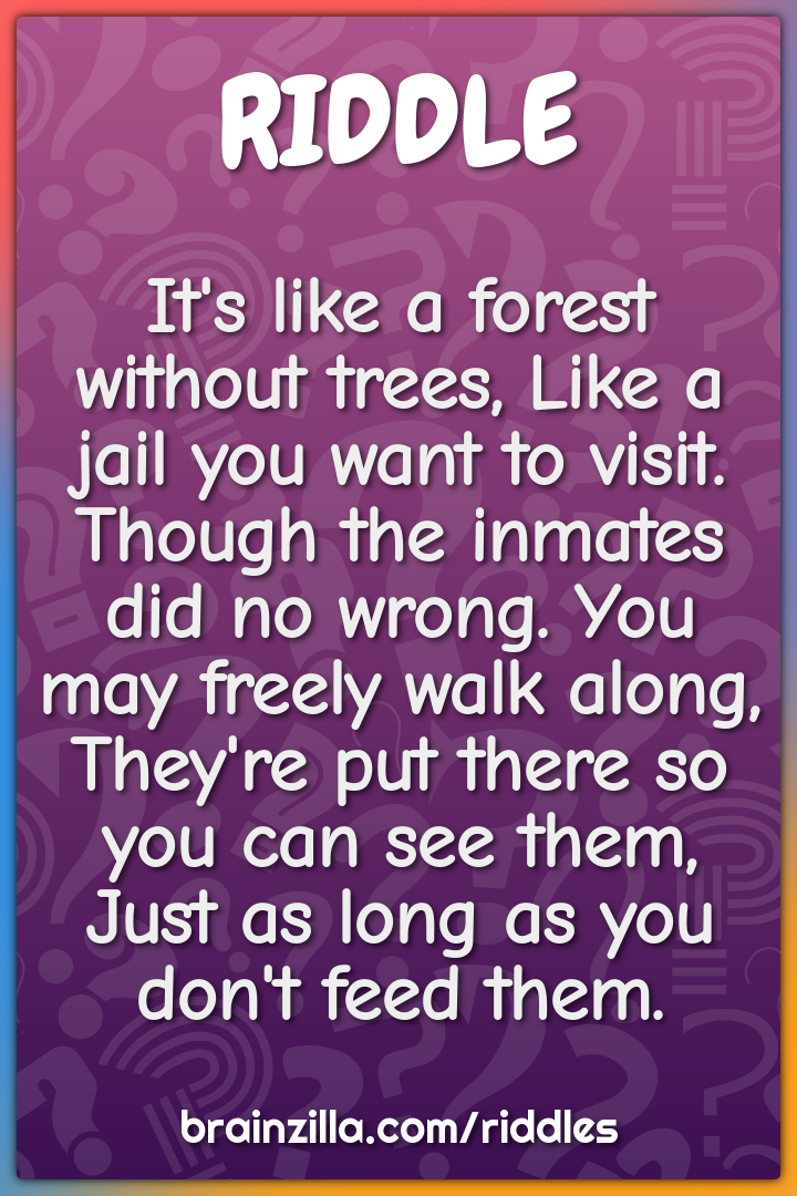 It's like a forest without trees, Like a jail you want to visit....