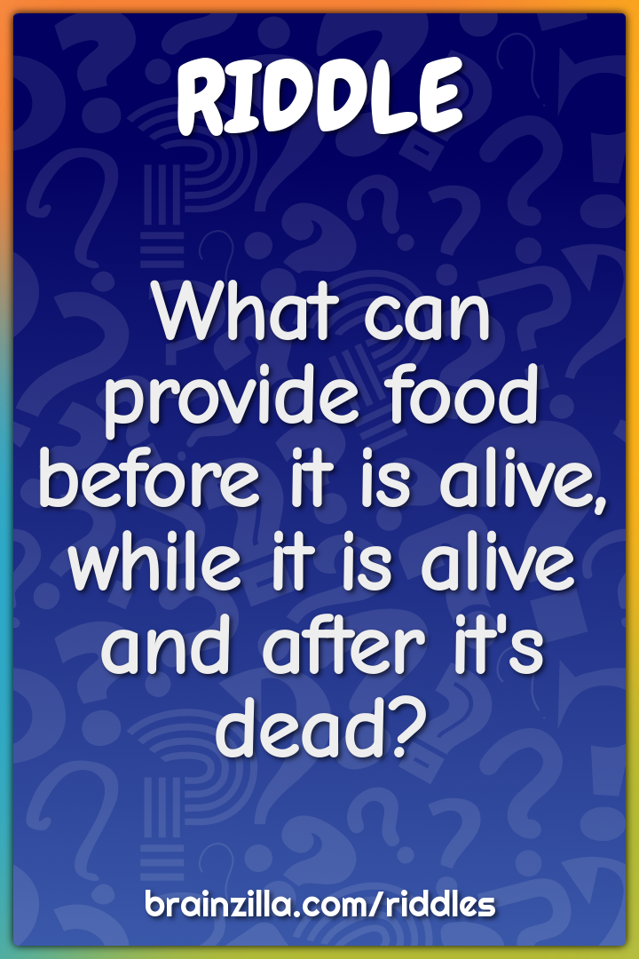 What can provide food before it is alive, while it is alive and after...