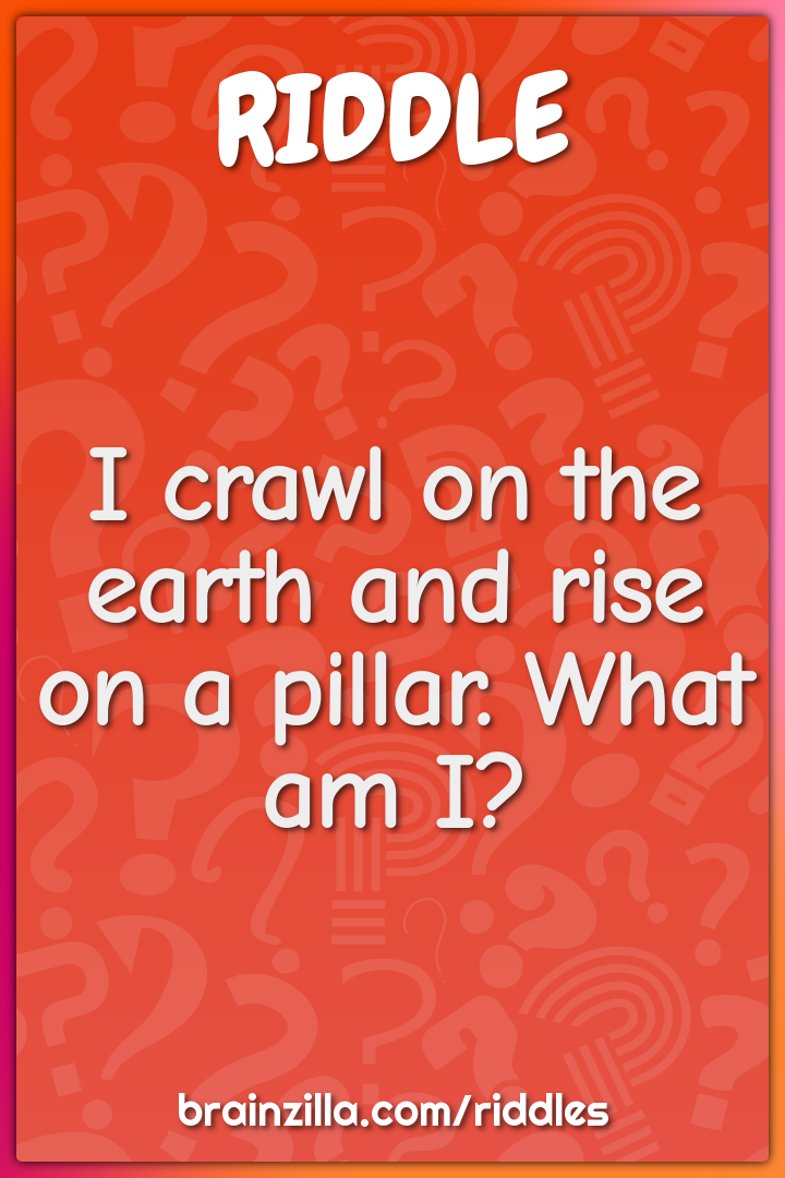 I crawl on the earth and rise on a pillar. What am I?