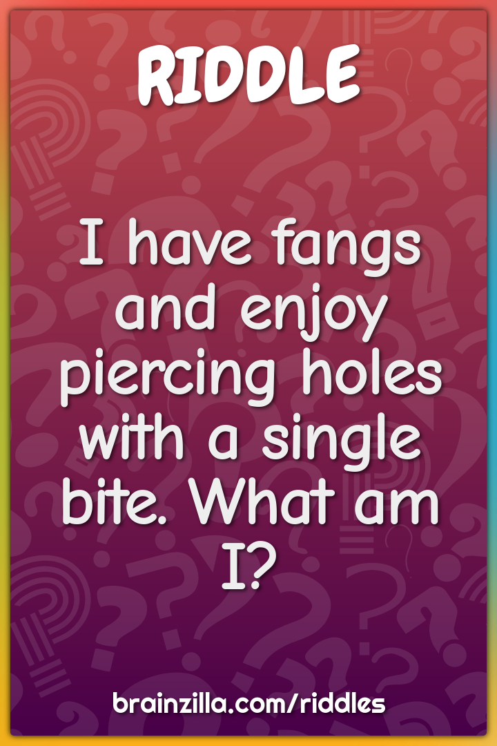 I have fangs and enjoy piercing holes with a single bite. What am I?